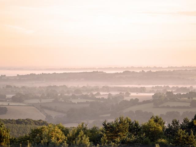 Mont des Avaloirs - Paysage dans la brume