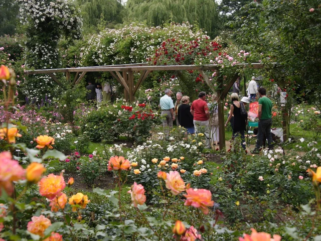 la Roseraie - Lassay Les Chateaux
