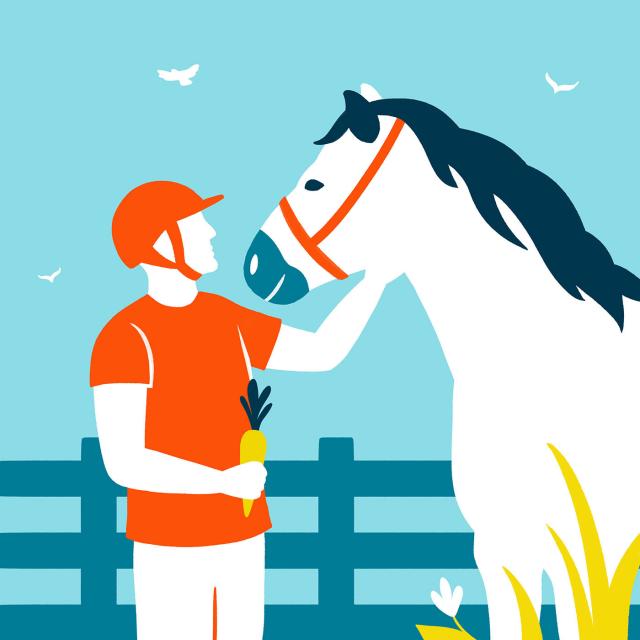 Mayenne Tourisme Podcast V005 10 Centre Equestre 1400px