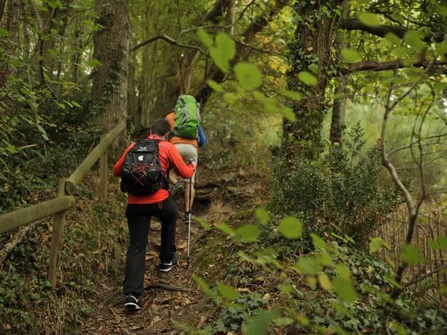Randonnee A Sainte Suzanne Sainte Suzanne Chammes Cp Pascal Beltrami Mayenne Tourisme 1920px