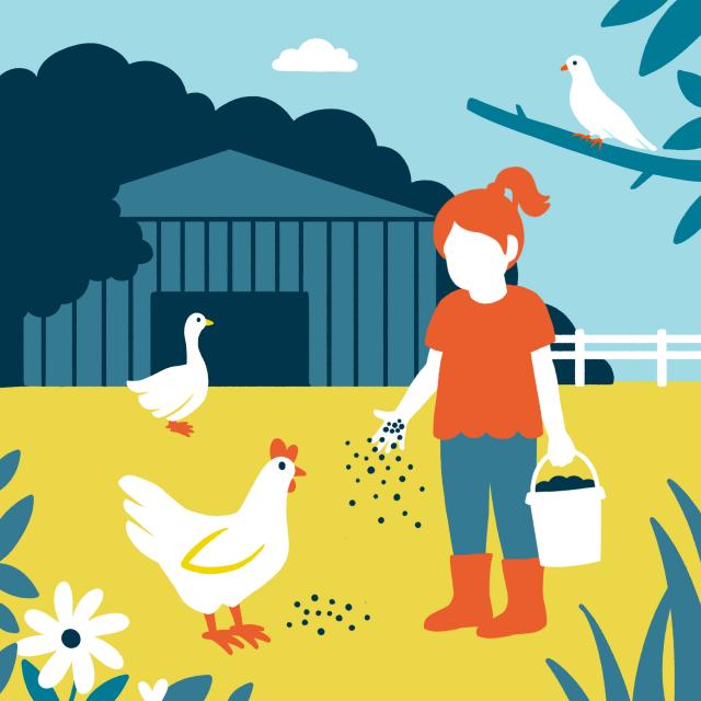 Visuel Immersion Sonore à la Gasselianis