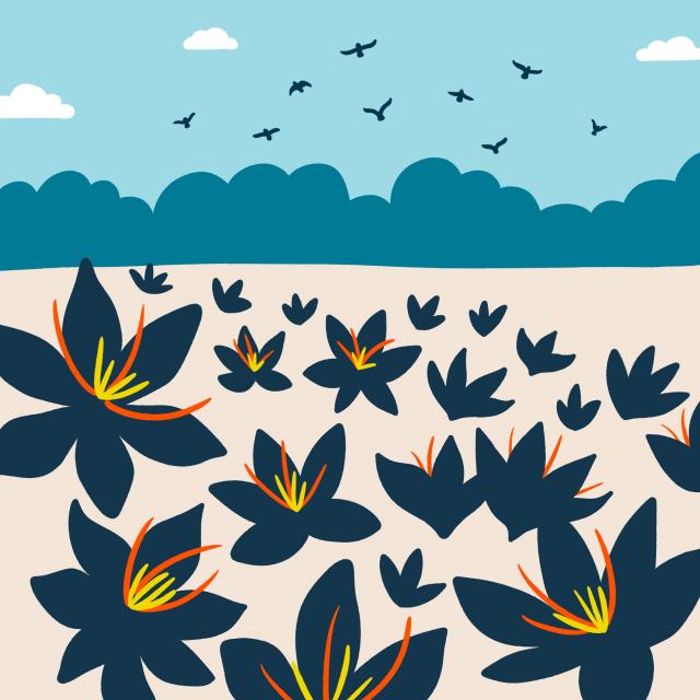 Immersion sonore à Lou Safran