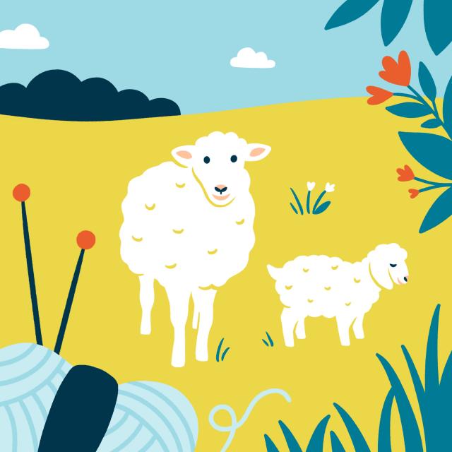 Mayenne Tourisme Podcast Saison2 08 Mohair Du Maine