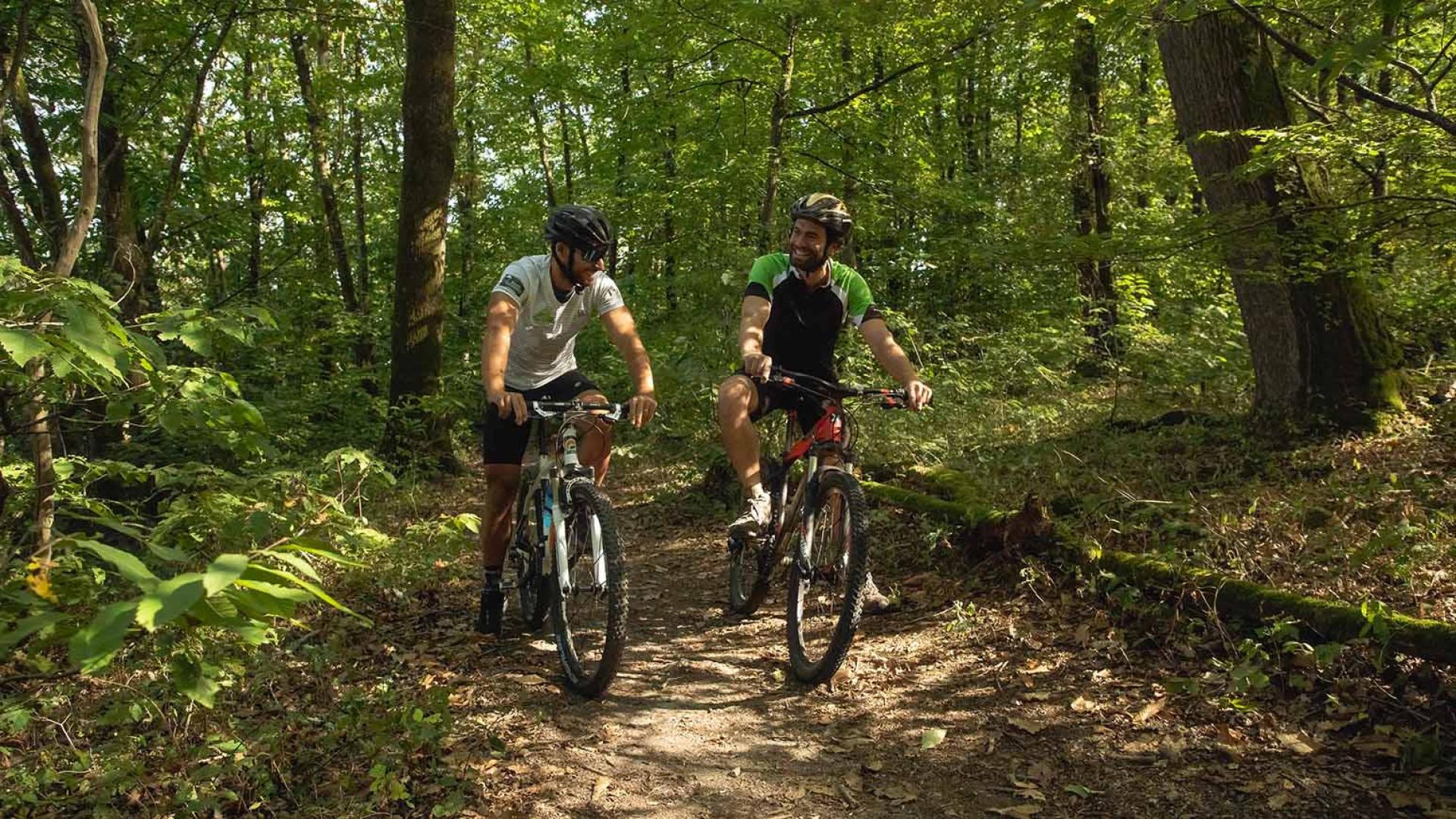 Vtt au bois de l'huisserie