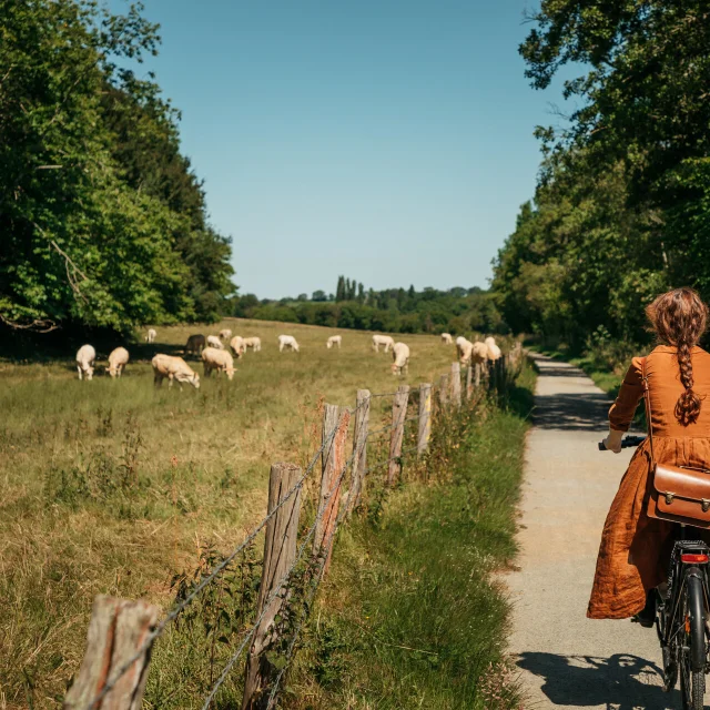 Balade à vélo Sur Le Chemin De Halage en bord de rivière La Mayenne